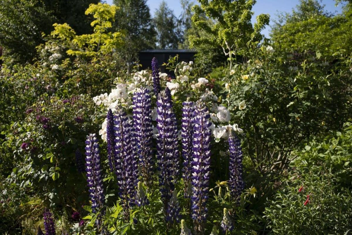 Вилла Tiny Away Benger Garden 2 By Tiny Away Millers Flat Экстерьер фото